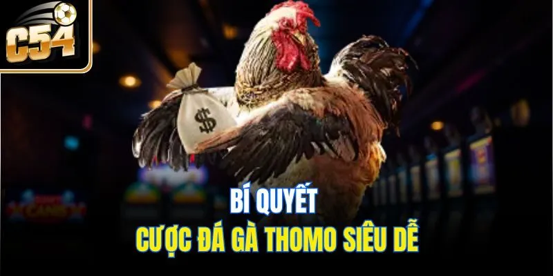 Bí quyết cược đá gà Thomo siêu dễ