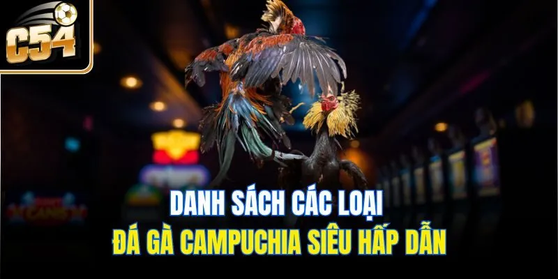 Danh sách các loại đá gà Campuchia siêu hấp dẫn