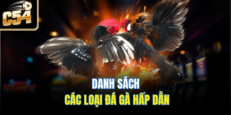 Danh sách các loại đá gà hấp dẫn