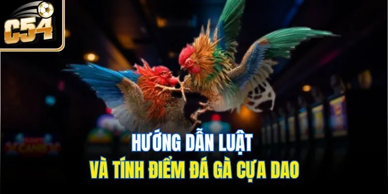 Hướng dẫn luật và tính điểm đá gà cựa dao