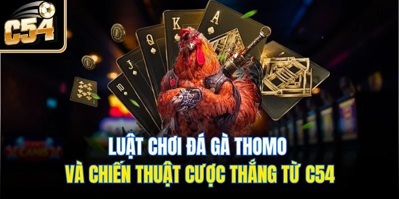 Luật Chơi Đá Gà Thomo Và Chiến Thuật Cược Thắng Từ C54