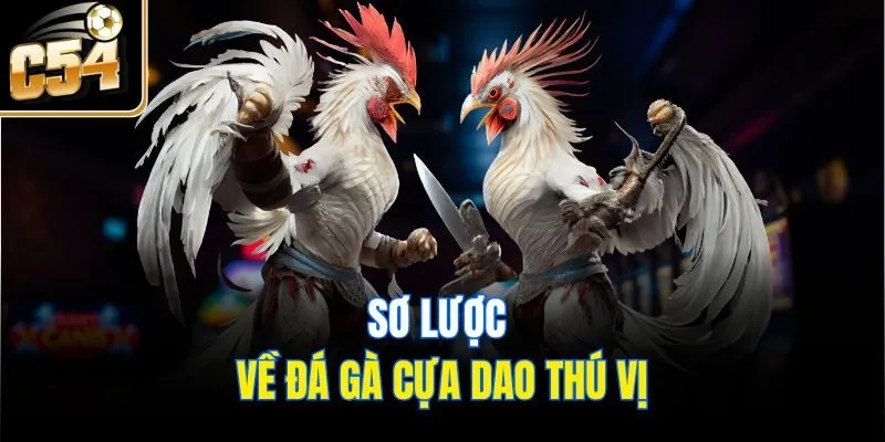 Sơ lược về đá gà cựa dao thú vị